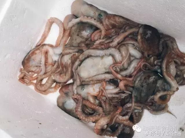 探班烟台东口合不拢嘴渔家乐!完整版!