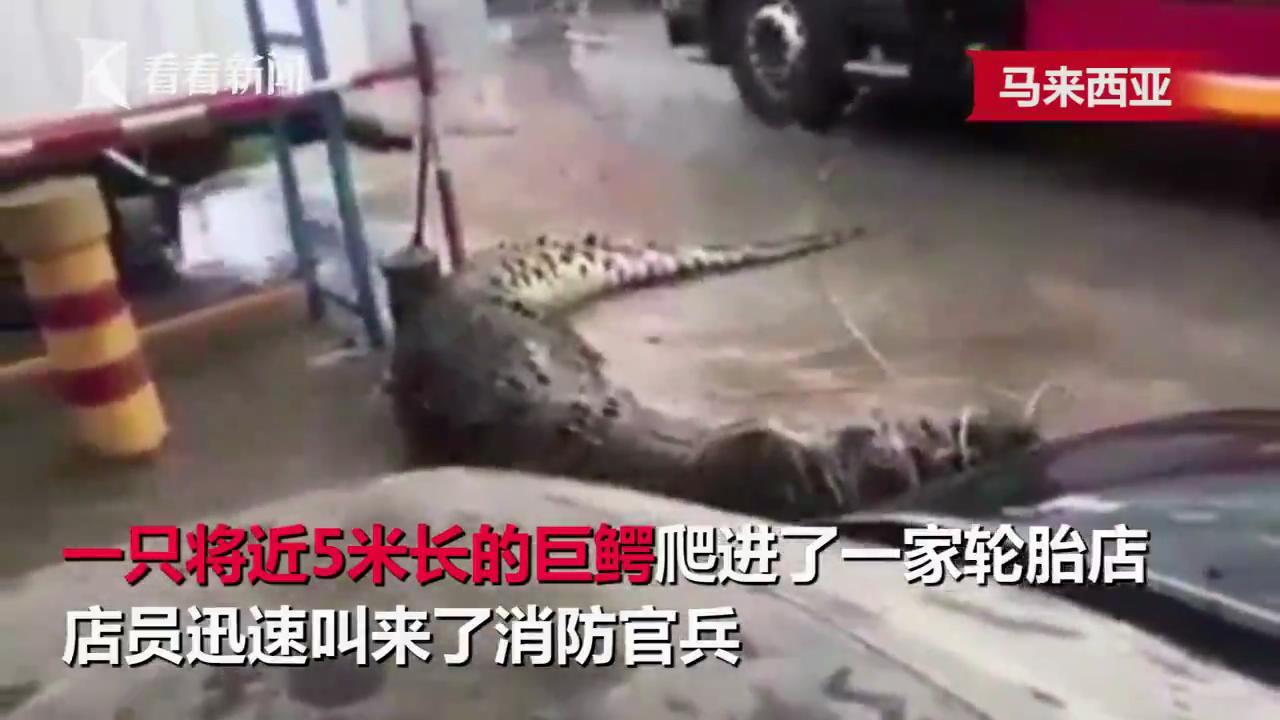 图为现场。