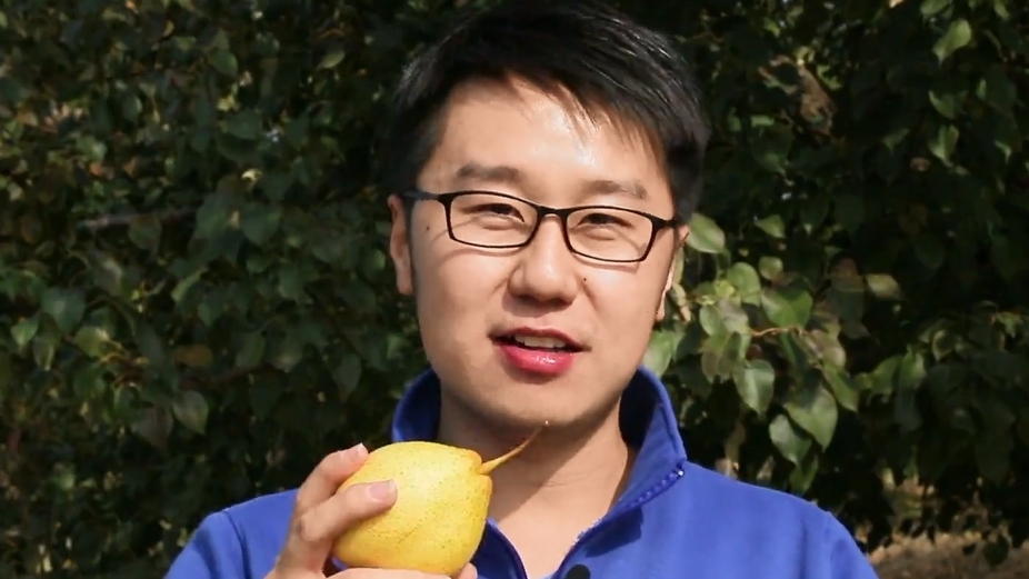 一起去京郊知名果品出产地赏美景品鲜货 一起去京郊知名果品出产地赏美景品鲜货