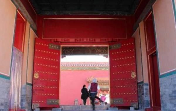 故宫里为什么有那么多乌鸦?答案让网友感到吃