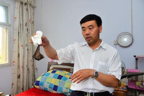 蝙蝠空调主机内做窝 郑州女租客:夜半叫声太恐