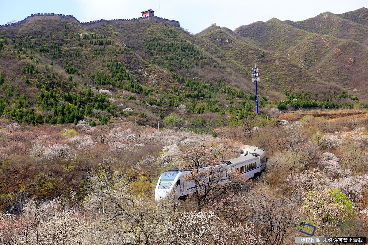 基层图像 | 你知道“开往春天的列车”背后有群“护花使者”吗? 基层图像 | 你知道“开往春天的列车”背后有群“护花使者”吗?