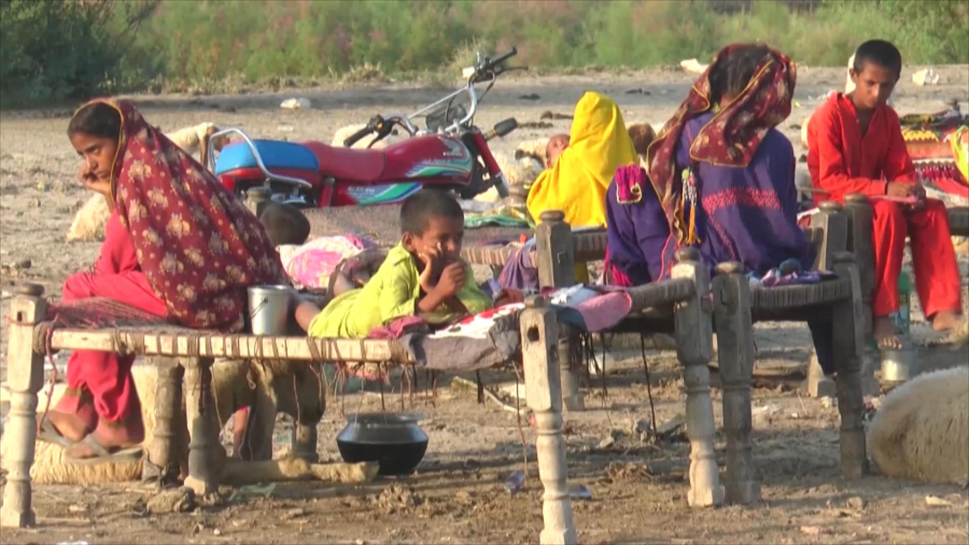 巴基斯坦洪水影响上千万儿童 军方一天内救出近2000名灾民