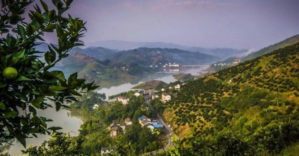 人杰地灵,大美忠县,一龙VS杀玉狼中泰顶尖王者