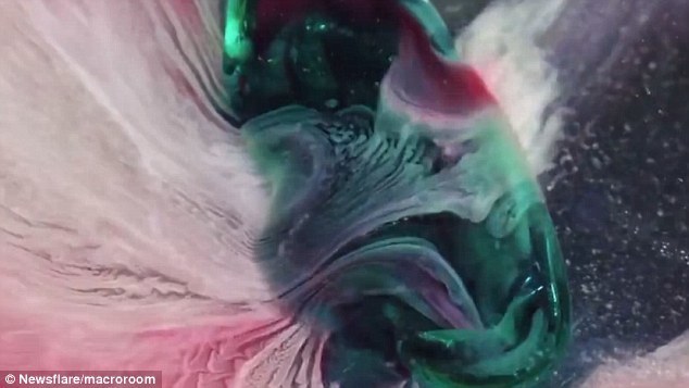 在实验中，实验人员只是将药片放在一个培养皿中，并将其连同培养皿一起放进水缸里，然后观察其变化。