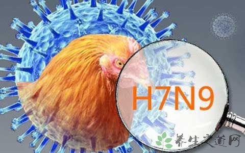 h7n9型禽流感传播途径
