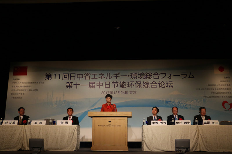 商务部高燕副部长访日参加第十一届中日节能环