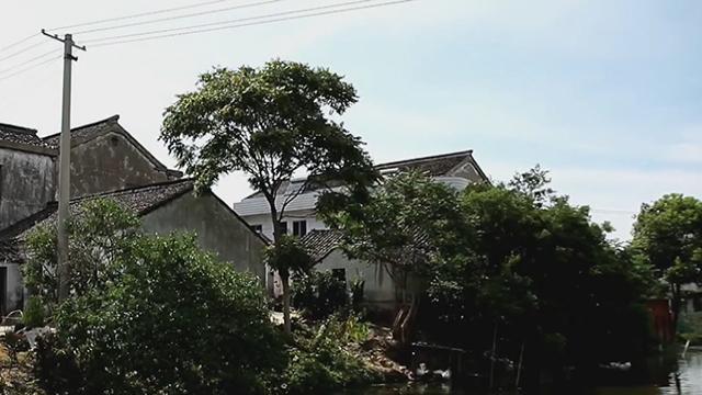 《寻踪英雄路》:塘马战斗 《寻踪英雄路》:塘马战斗