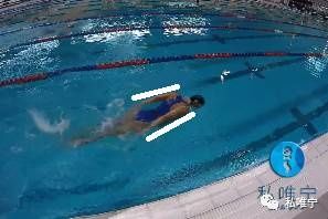 最优雅的泳姿,蝶泳手臂动作分解示范