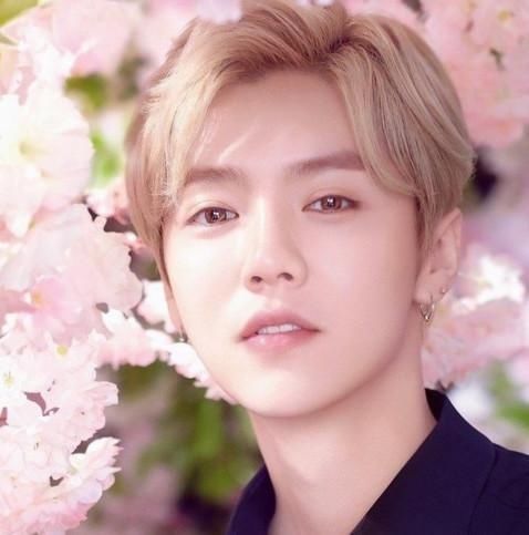 鹿晗、黄轩、杨洋等帅气男星,丑照超乎想象,你