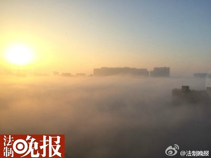 照片中云雾缭绕，高层建筑仿佛化身天空之城，漂浮在云端。