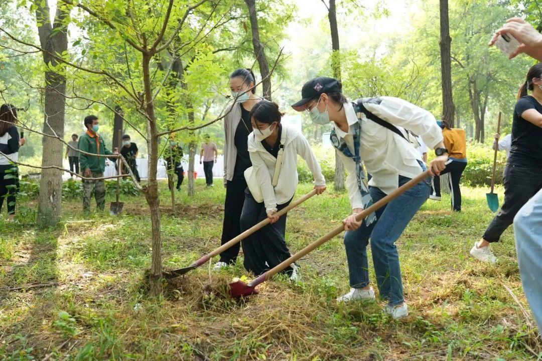 走进大兴区的美丽林场:让“绿色接力棒”代代传递_北京时间