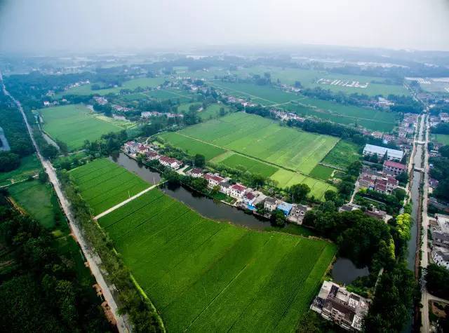 厉害了!扬州市两乡村被纳入首批江苏省特色乡村建设试点 厉害了!扬州市两乡村被纳入首批江苏省特色乡村建设试点