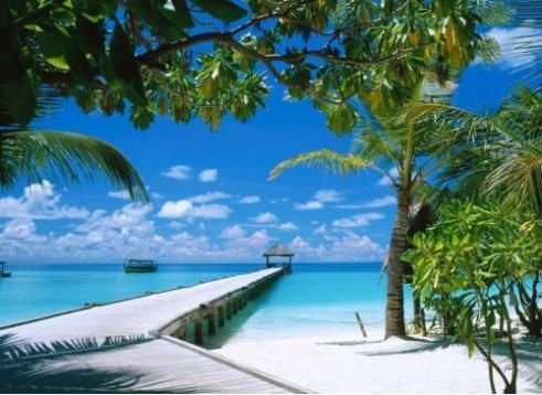 被称为东方夏威夷!什么时候去三亚最合适?夏