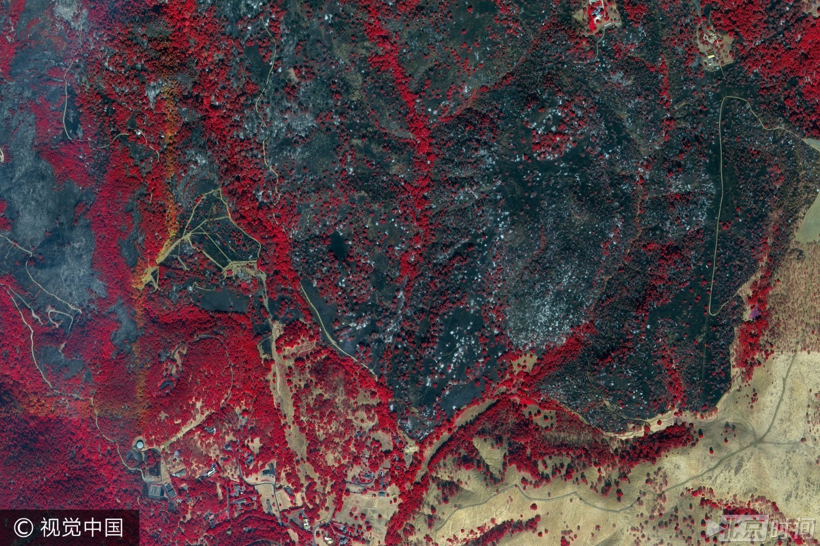 美加州山火灾区近红外卫星图超震撼