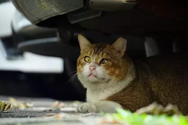 E-mount入门旅游镜首选!索尼E 18-135mm F3