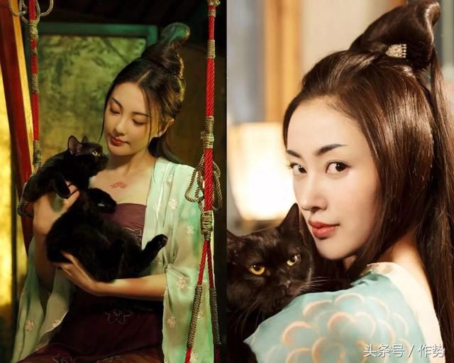 一部《妖猫传》,炸出了一大波娱乐圈的猫奴和