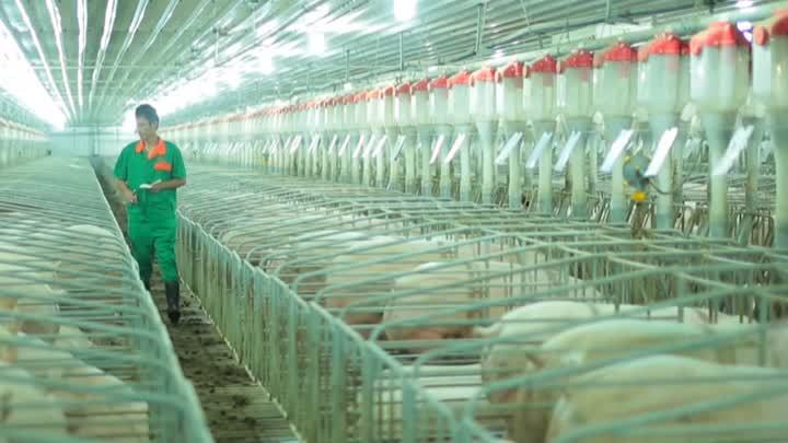 推进乡村振兴战略实施,宝应:以农业重大项目带