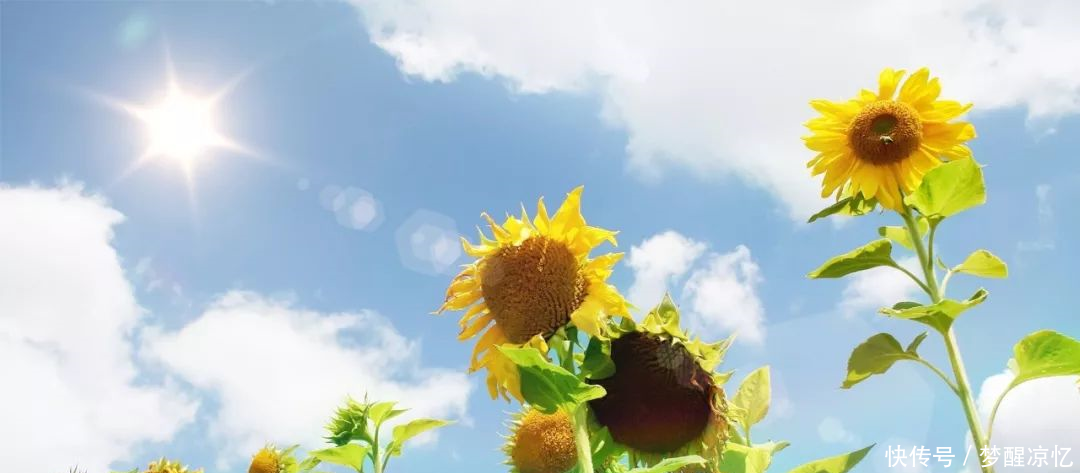 致女人好透彻的一段话,句句经典,很受用!