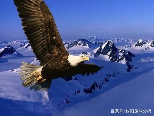 牧神之世界杯16强首战:阿根廷征战法国\/ 乌拉圭