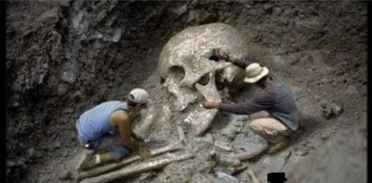 河南一老师发现长1.6米头骨,专家鉴定是七八千