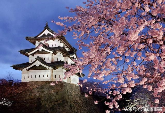 中国游客在日本买特产,2斤清酒5片牛肉,付款时