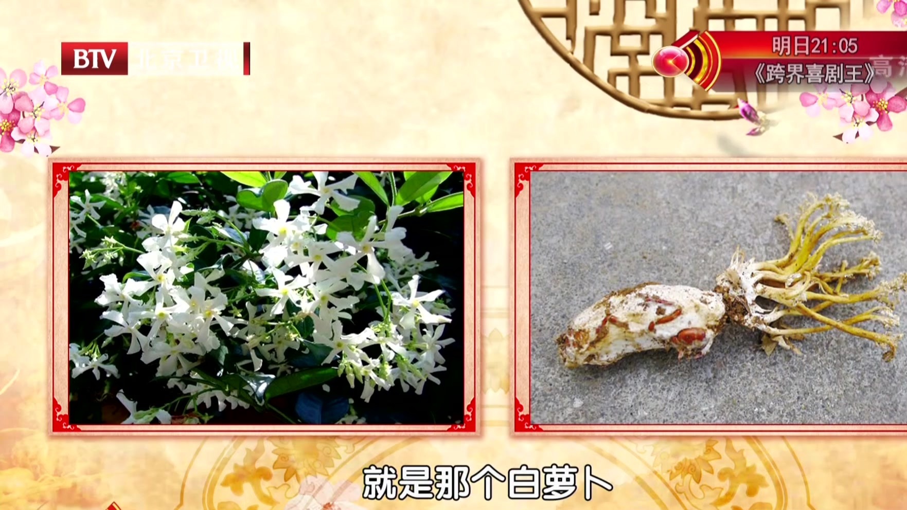 治疗慢性肾病  作用独特的两味中药
