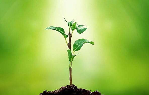 想知道宝宝说话是不是有点晚了,对照一下吧