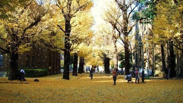 清华超过东京大学,日本一片沸腾寻找原因,日本