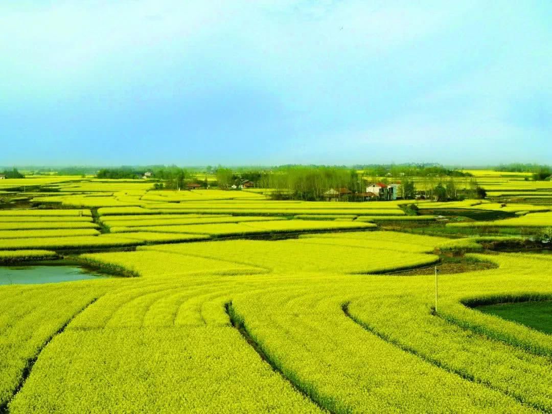 花漾荆门,等你来寻觅无穷精彩!