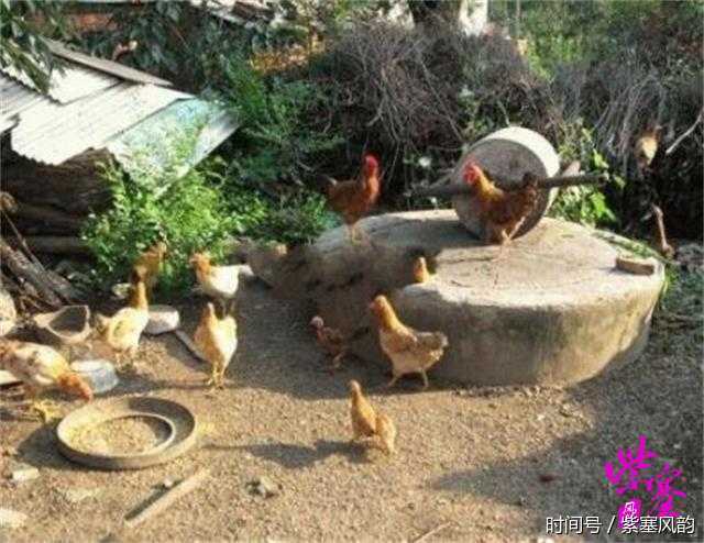 天津蓟县梨木台农家院旅游攻略十二:槐溪山农