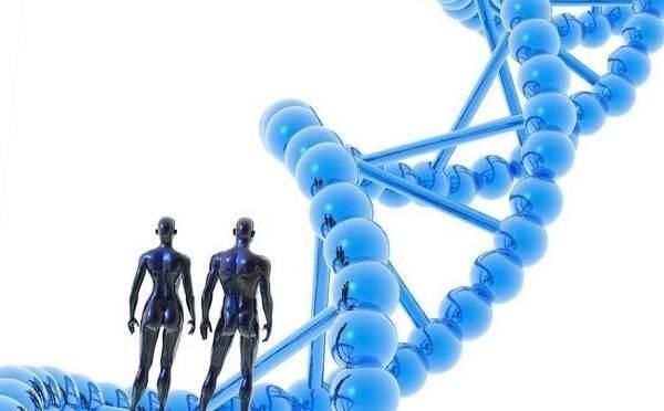 香港验血B超查BB性别哪个更准?真相出乎所有