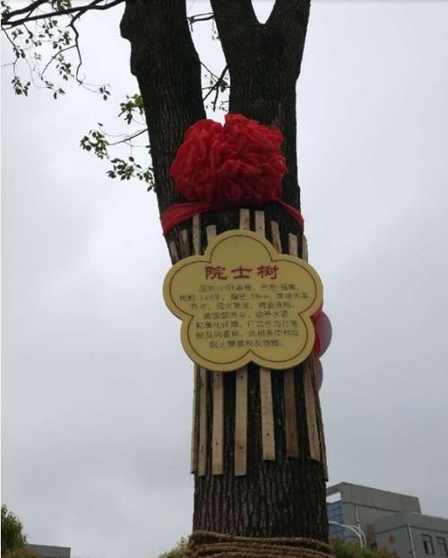 中科院院士樊嘉回母校新丰中学做励志演讲并捐