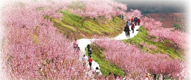 【新时代新气象新作为】重庆永川:春光为你而