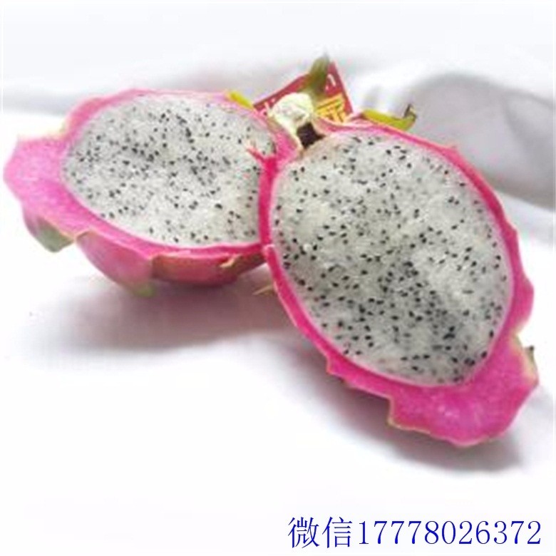 中医医药膳:伸筋拔骨方法要正确