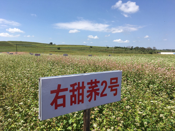 【领航新征程】山西省将大力推进农业标准化生产