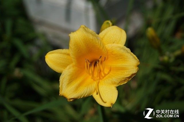 夏天来了 女生适合用什么样的相机拍照