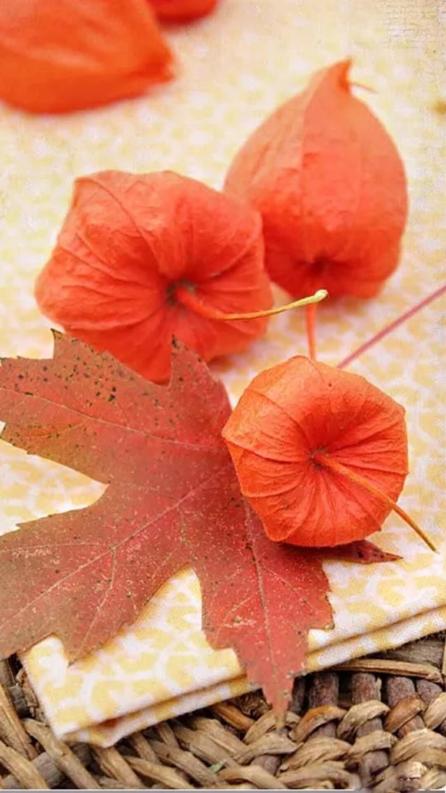 seem的5个考点用法,有2个你可能不知道哦!