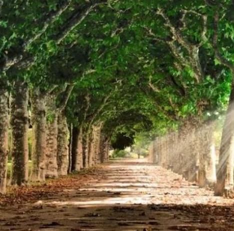 有坏人追杀你,会选哪条小路逃生?测你的智商有