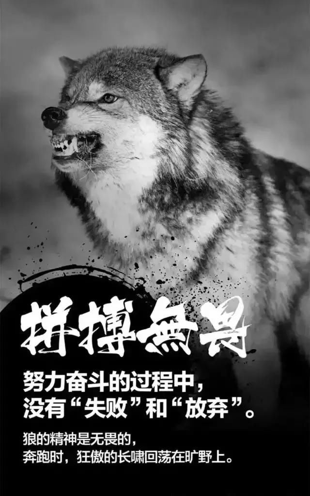 李嘉诚放招:2019年什么行业最赚钱?这2大行业