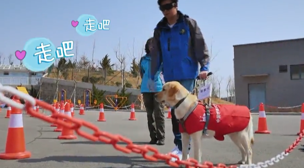 首届中国全媒体公益年会:《我们在一起》导盲犬 首届中国全媒体公益年会:《我们在一起》导盲犬