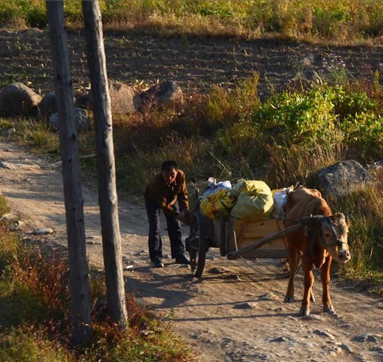 朝鲜百姓生活现状:手机随处可见,情侣街头手牵