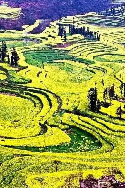 市长与曲靖一起刷爆朋友圈!流利英文对答记者