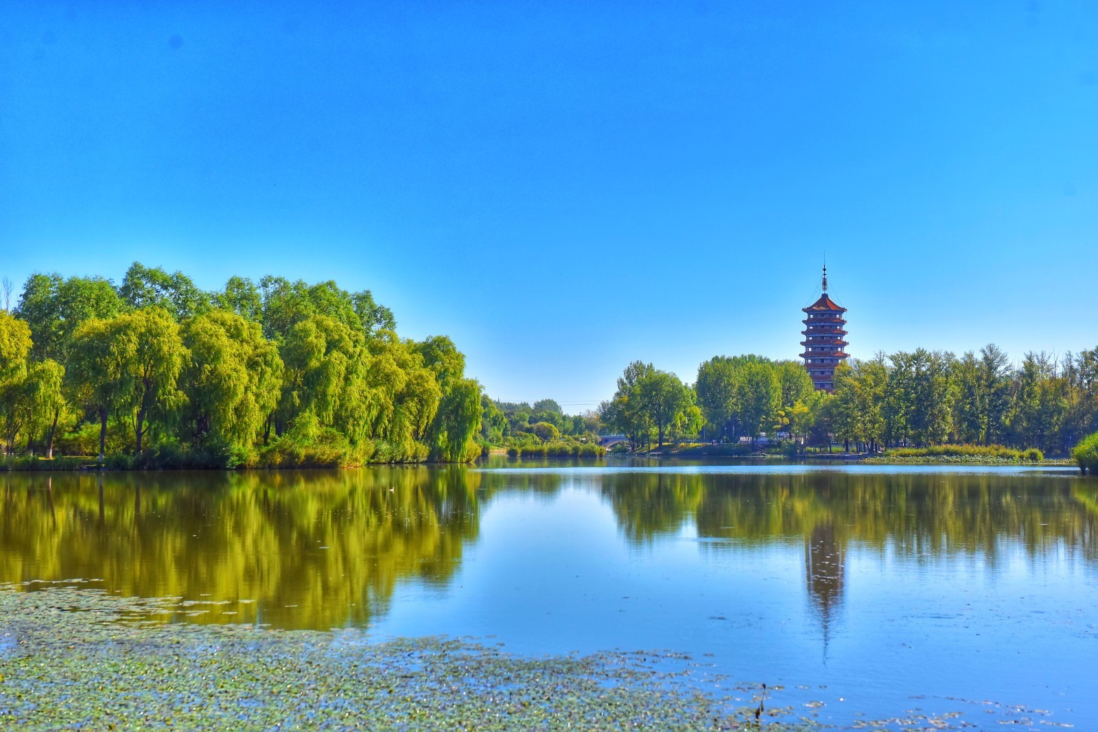 碧空如洗!"冬奥蓝"美翻文明延庆