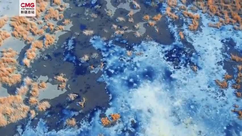 蓝冰金沙滩！新疆撞色系春景美如油画