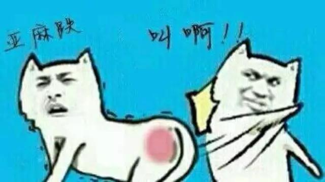 白百何