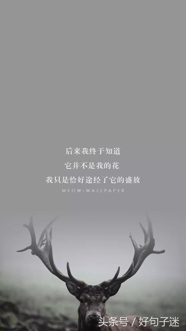 朋友圈负能量爆棚的经典语录,现实又很扎心的句子