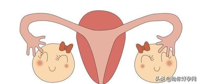 如何判断女性卵巢有没有排卵呢?
