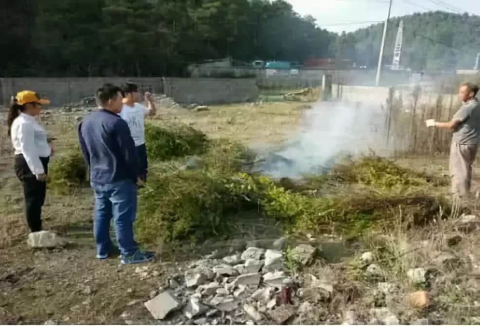 农民怎么办?不让建房,不让养殖,不让烧秸秆,这