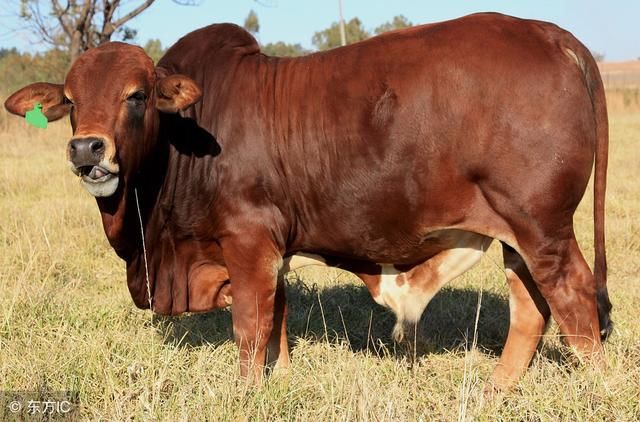 奋斗一阵子,幸福一辈子,1973年45岁的,什么时